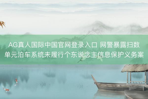 AG真人国际中国官网登录入口 网警暴露扫数单元泊车系统未履行个东说念主信息保护义务案