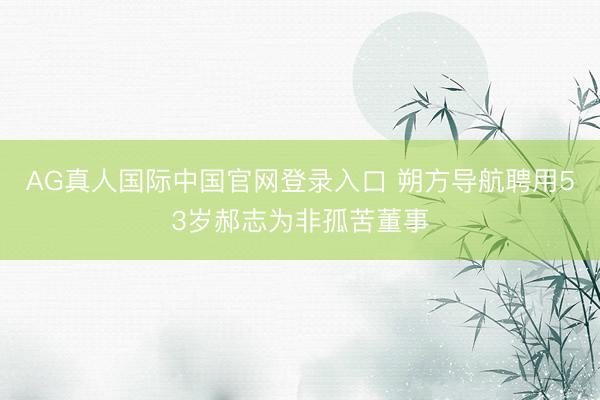 AG真人国际中国官网登录入口 朔方导航聘用53岁郝志为非孤苦董事