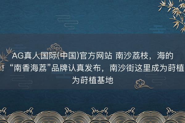 AG真人国际(中国)官方网站 南沙荔枝，海的滋味！“南香海荔”品牌认真发布，南沙街这里成为莳植基地