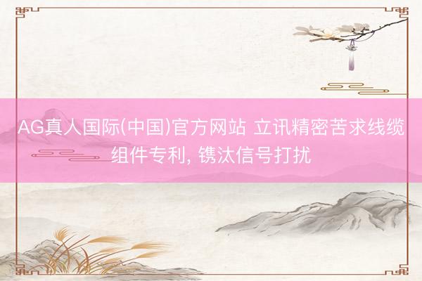 AG真人国际(中国)官方网站 立讯精密苦求线缆组件专利， 镌汰信号打扰